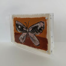 Load image into Gallery viewer, Butterfly #9