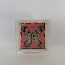 Load image into Gallery viewer, Butterfly #18