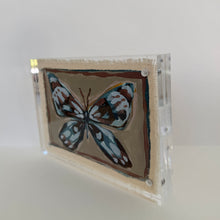 Load image into Gallery viewer, Butterfly #7