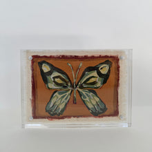 Load image into Gallery viewer, Butterfly #3