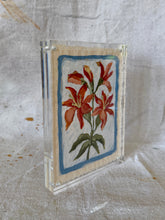Load image into Gallery viewer, Floral Study #13
