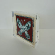 Load image into Gallery viewer, Butterfly #17