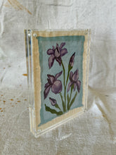 Load image into Gallery viewer, Floral Study #5
