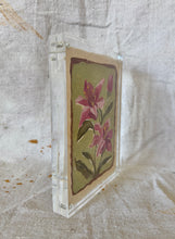 Load image into Gallery viewer, Floral Study #1