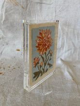 Load image into Gallery viewer, Floral Study #14