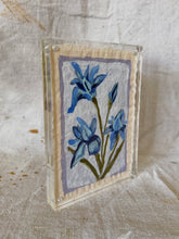 Load image into Gallery viewer, Floral Study #19