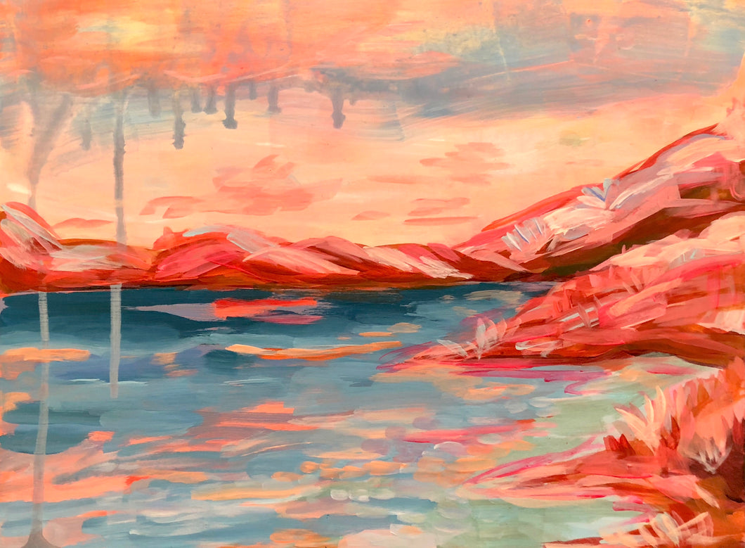 Coral Oasis