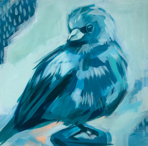 A Little Bird