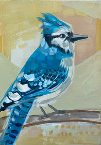 Little Jay